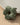 SAGE