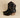 Blazing Western Ankle Boots