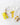 44376794726654|44376794759422|44376794792190|44376794824958|44376794857726|44376794890494|44376794923262