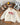 44376706842878|44376706875646|44376706908414|44376706941182|44376706973950|44376707006718